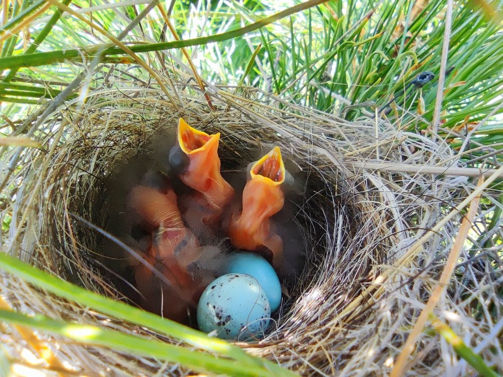 Photograph by JONATHAN VALDEZ