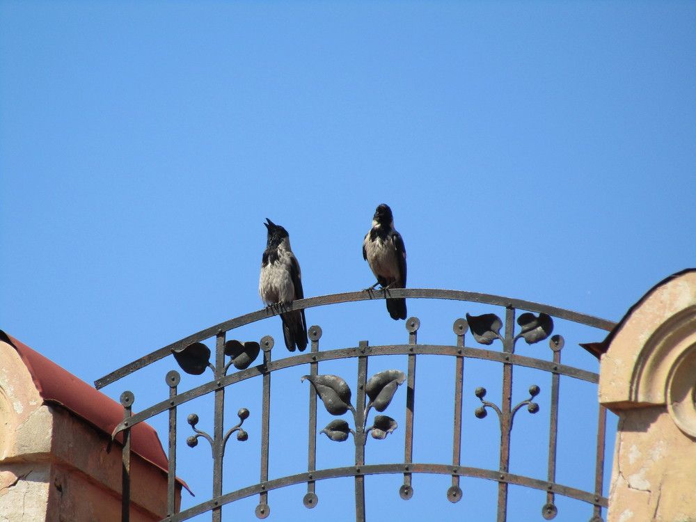 Photograph by Татьяна Смирнова