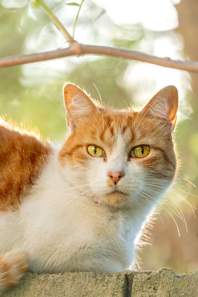 Photograph by María Paula Lozano