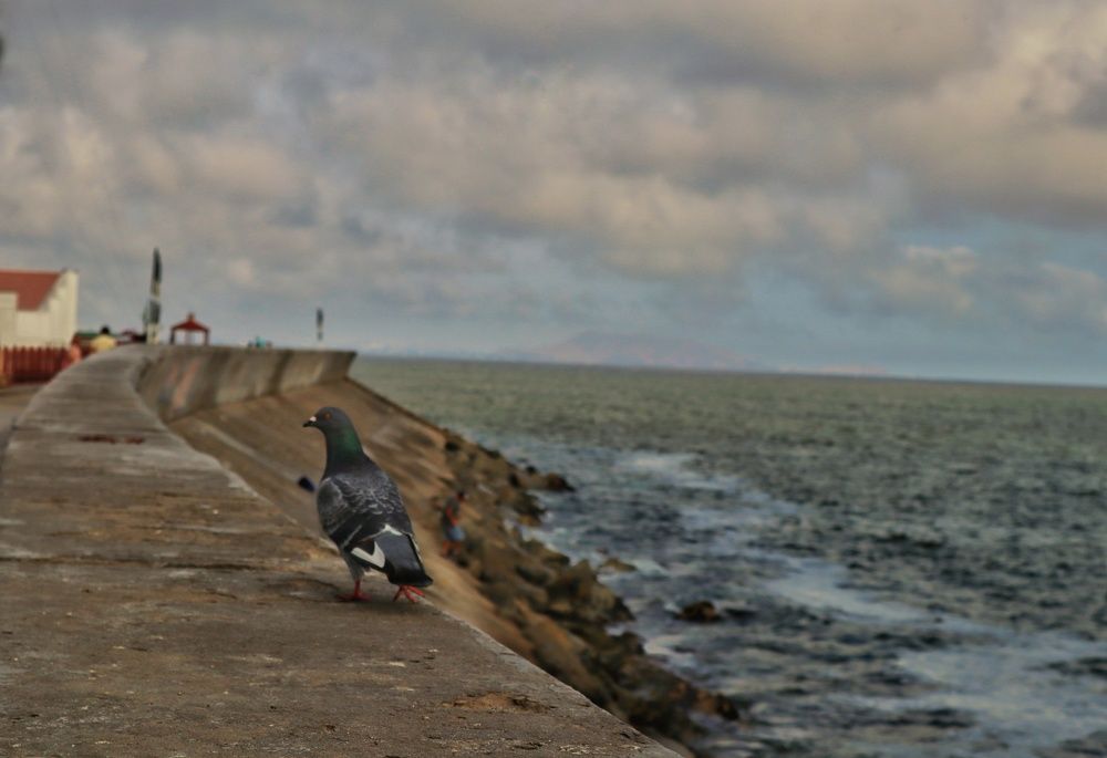 Photograph by Jorge Giol - El Caminante