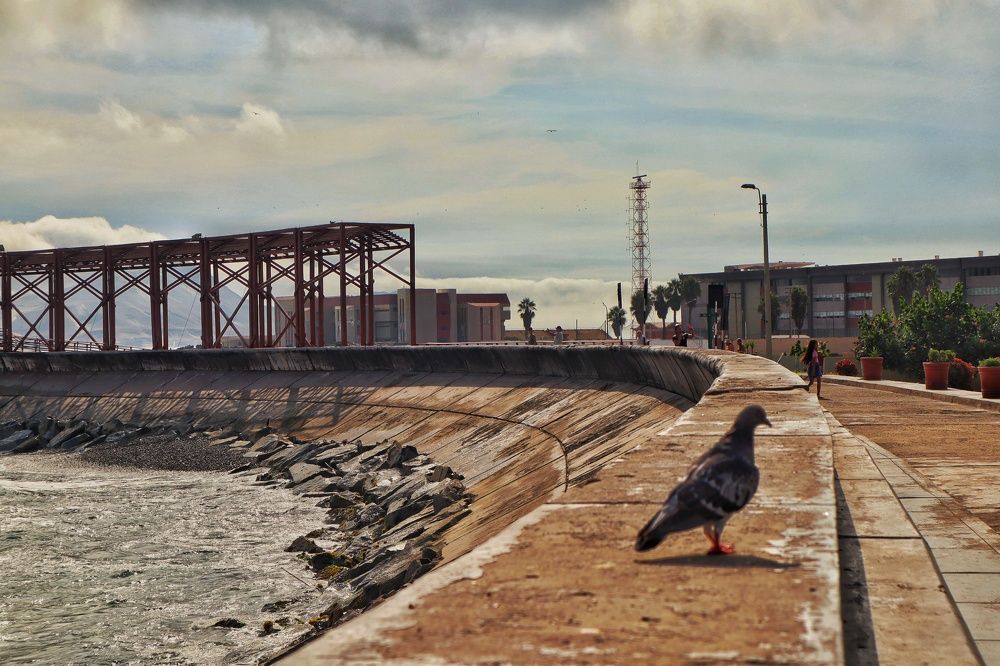 Photograph by Jorge Giol - El Caminante