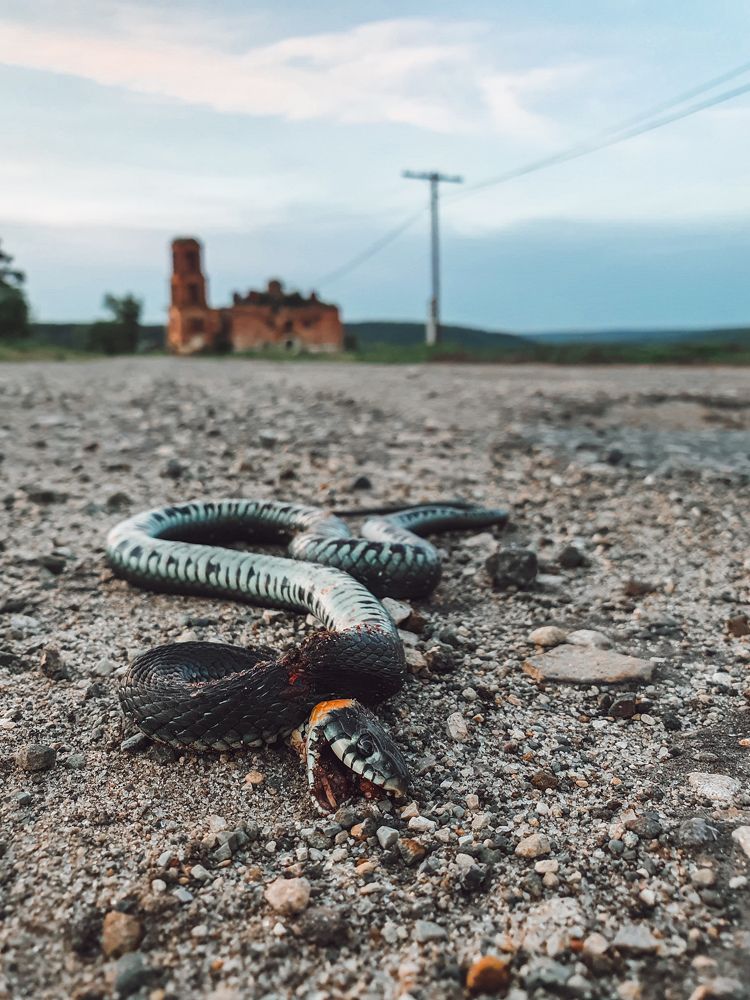 Photograph by Олег Титкин