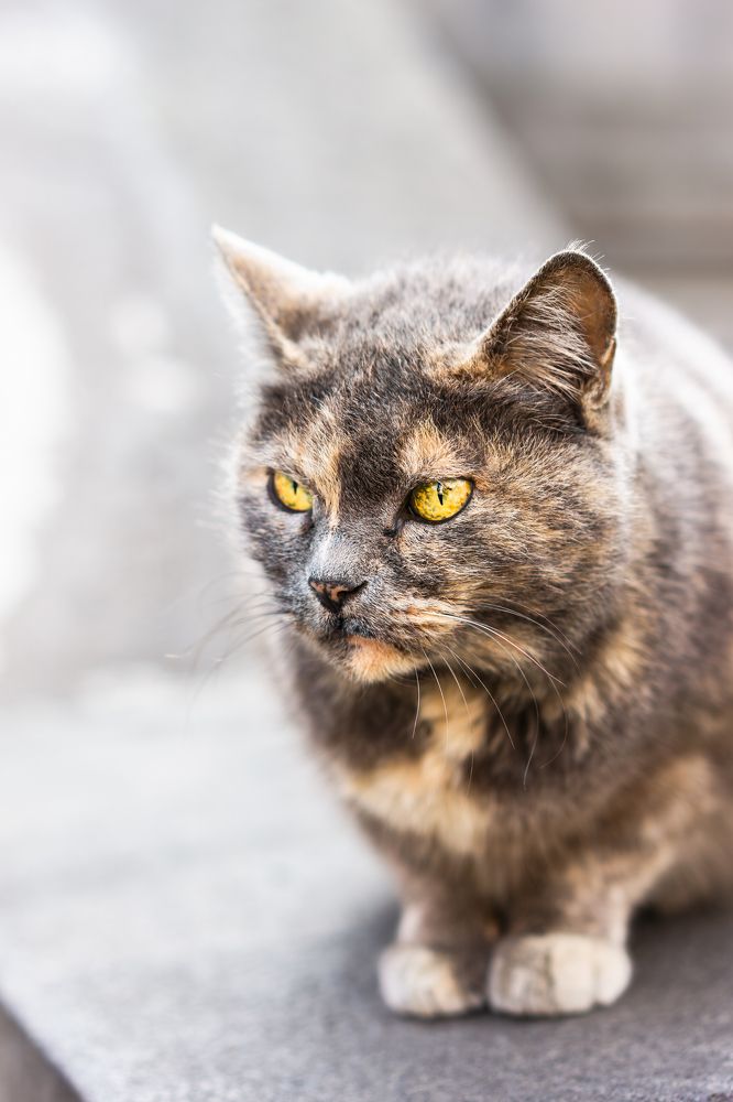 Photograph by TheVanya43