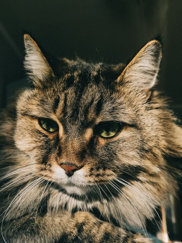 Photograph by Ольга Владимировна