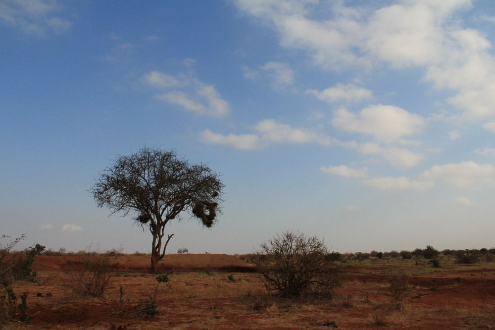 Photograph by sergio maritan