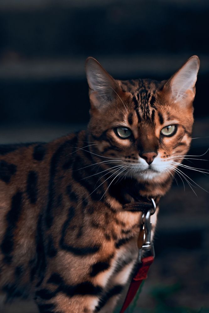 Photograph by Георгий Манаков