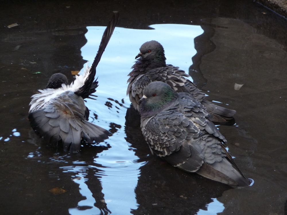 Photograph by sergio maritan