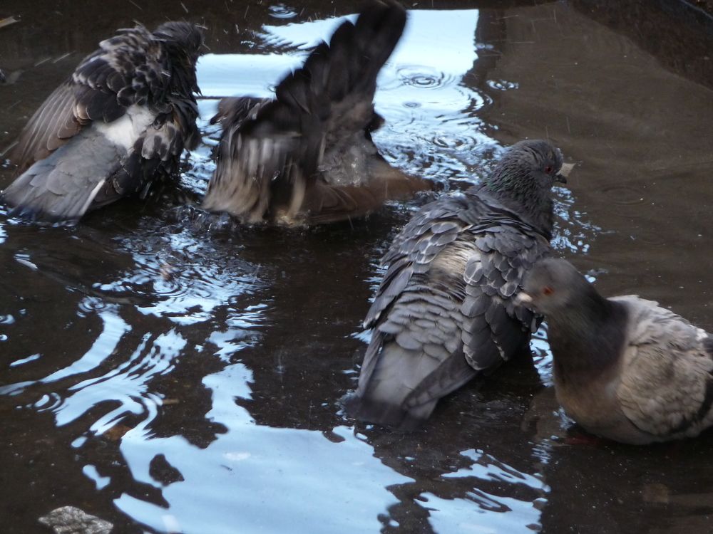 Photograph by sergio maritan