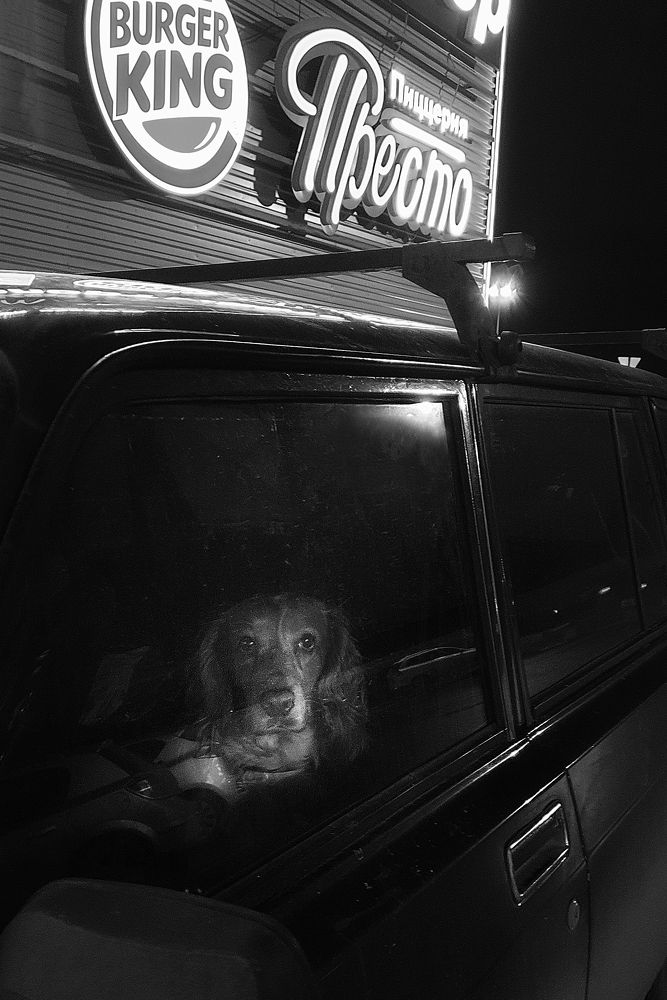 Photograph by Вербицкий Петр