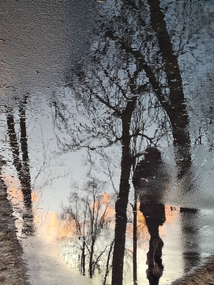 Photograph by Ольга Михайлова