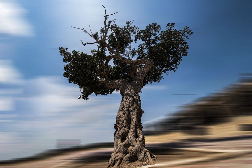 Photograph by AHMED ELSHINAWY