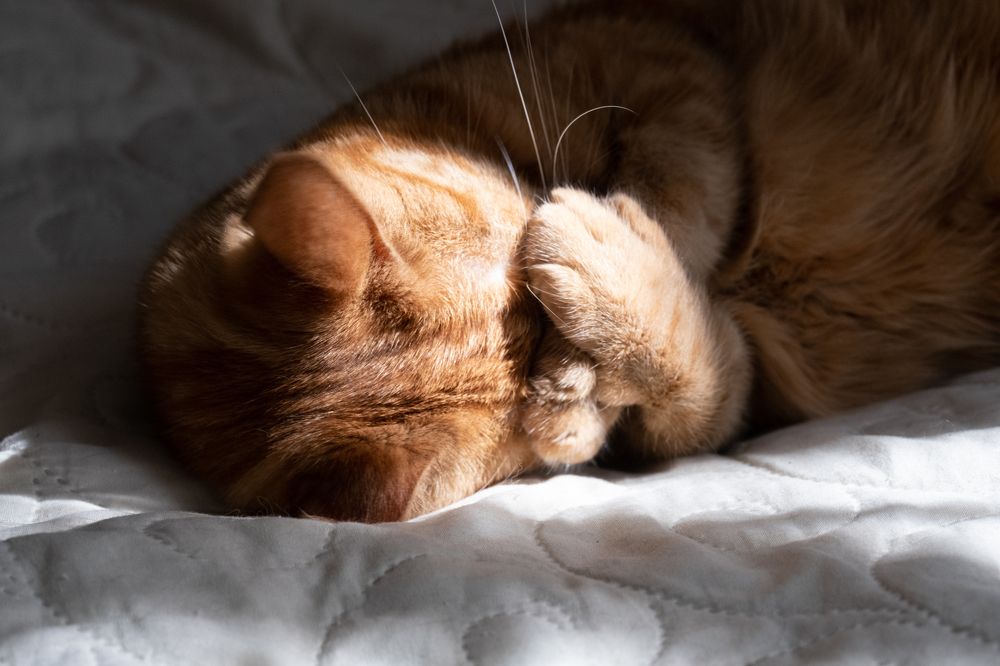 Photograph by Елена Акимова