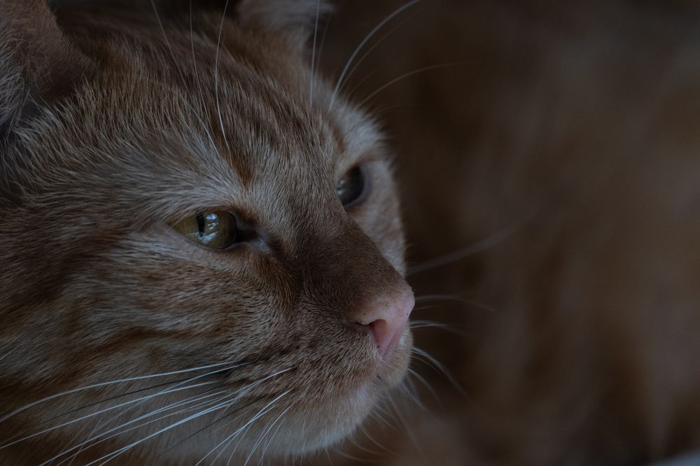 Photograph by Елена Акимова