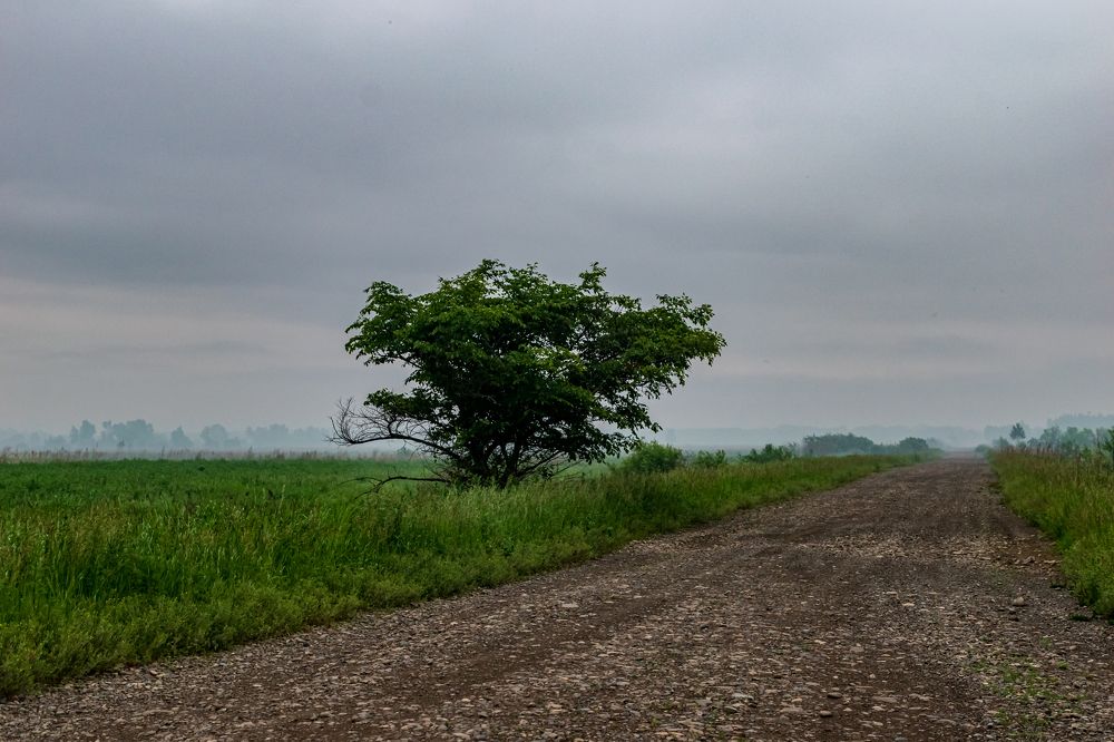 Photograph by Irina Luidinshina