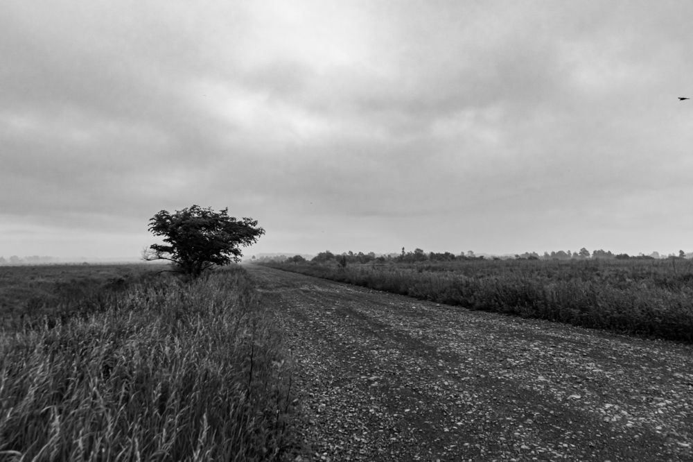 Photograph by Irina Luidinshina