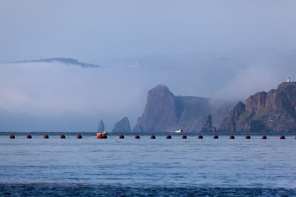 Фотография автора Дмитрий Уткин