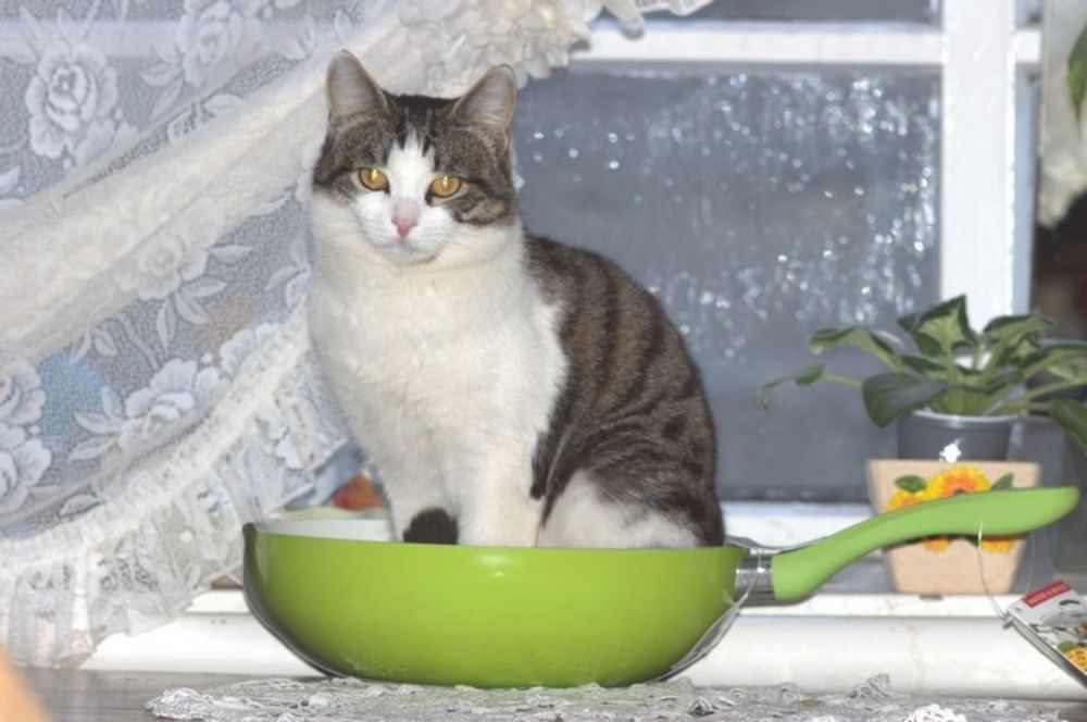 Фотография автора Ксения Смирнова