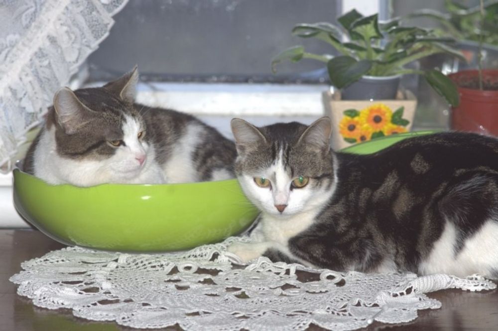 Photograph by Ксения Смирнова