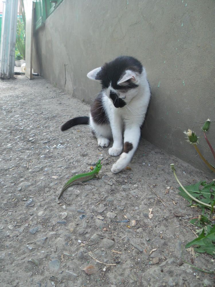 Фотография автора Ксения Смирнова