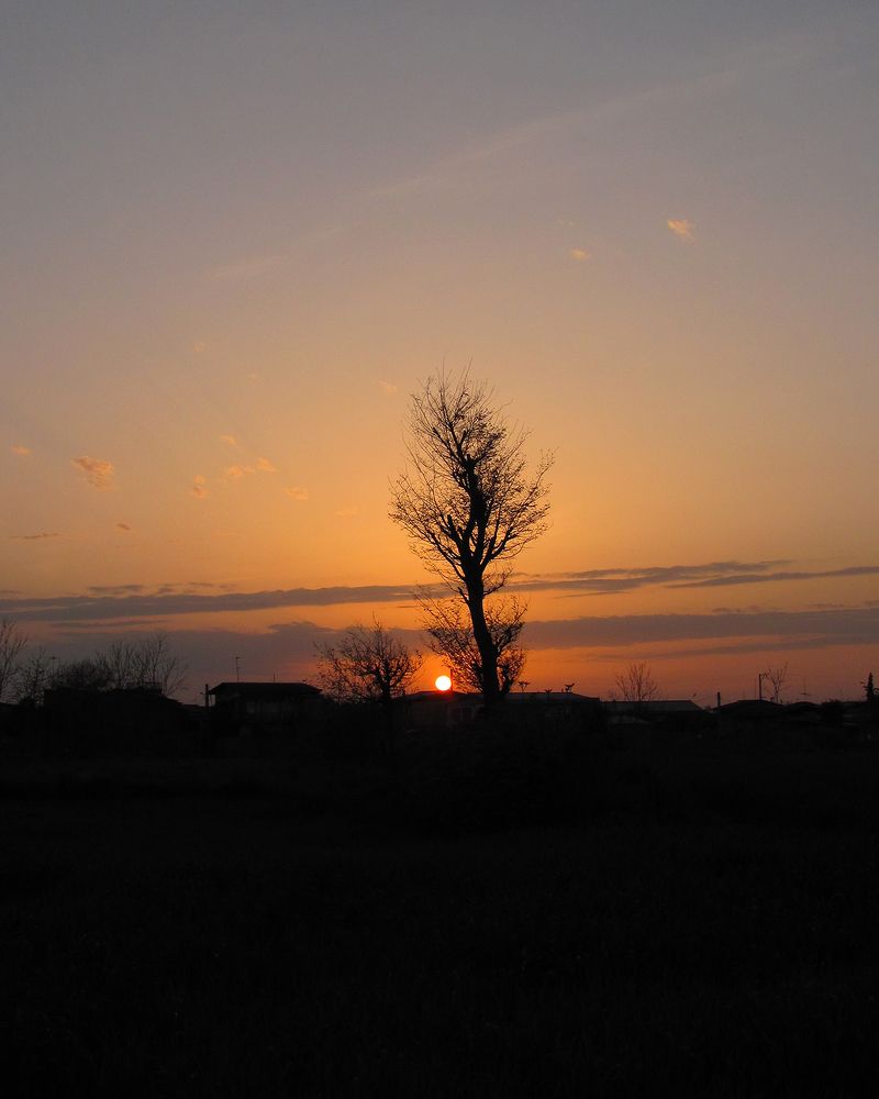 Photograph by Amin Maleki