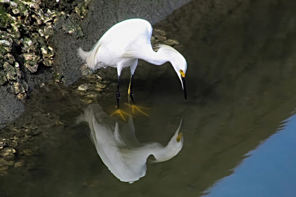 Фотография автора Márcia C S Machado
