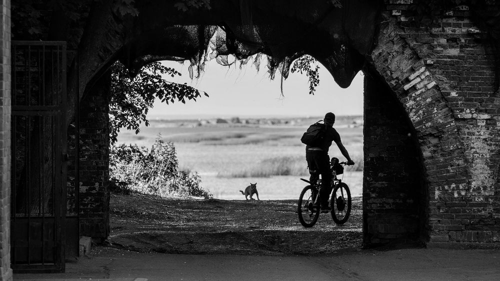 Photograph by Станислава Войцеховская