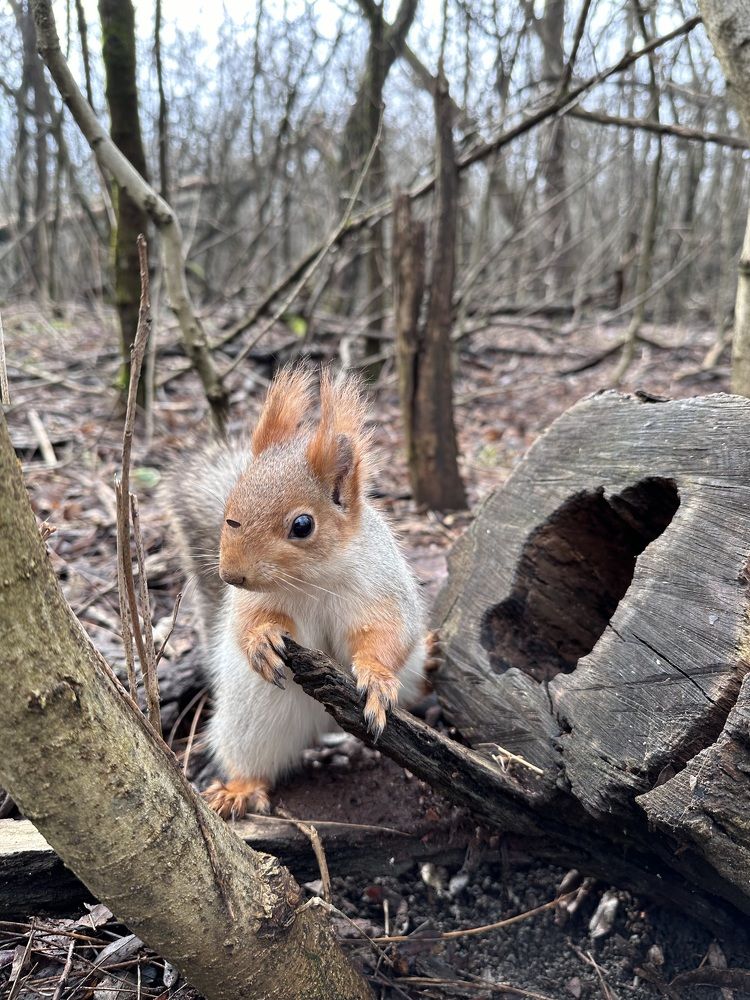 Photograph by Юлия
