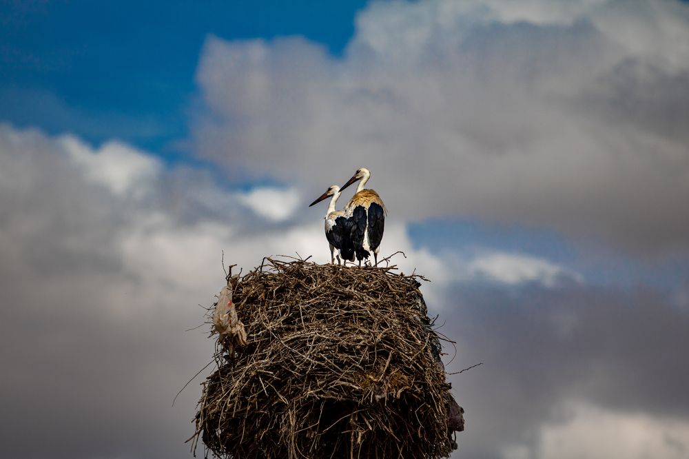 Photograph by Assal mouadh