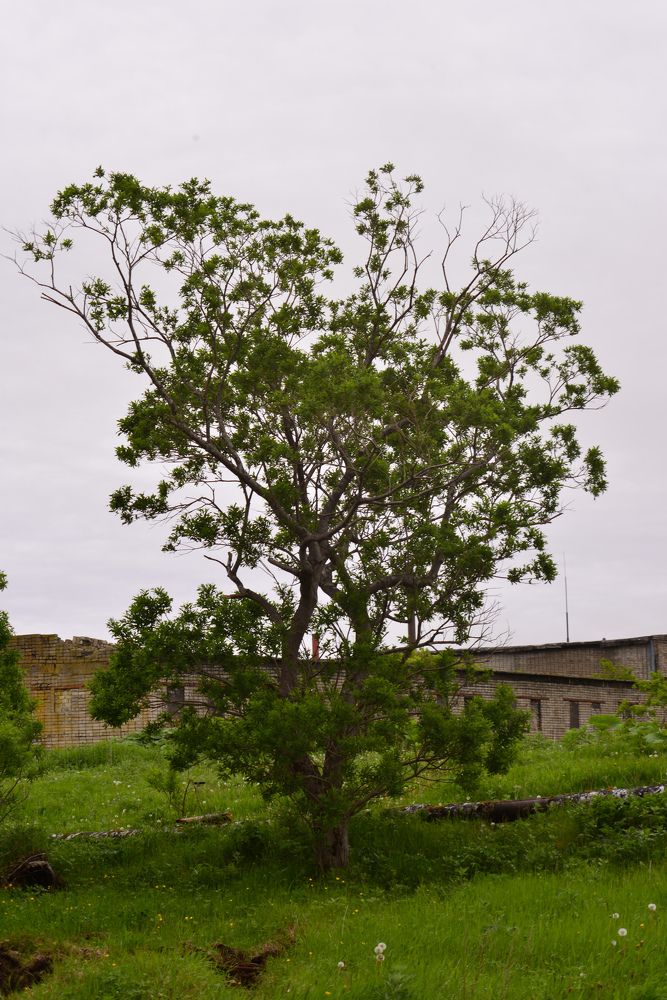 Photograph by Yrii Usoltsev