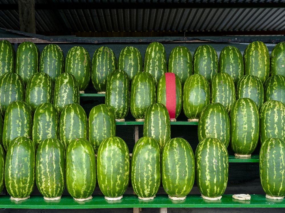 Photograph by Armando López-Guerrero