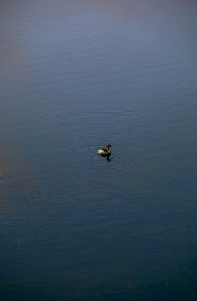 Photograph by Федор Гурьев