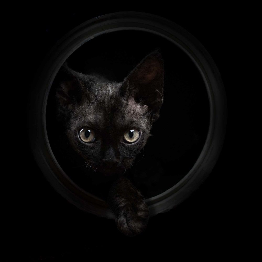 Photograph by Irina Kozhemyakina