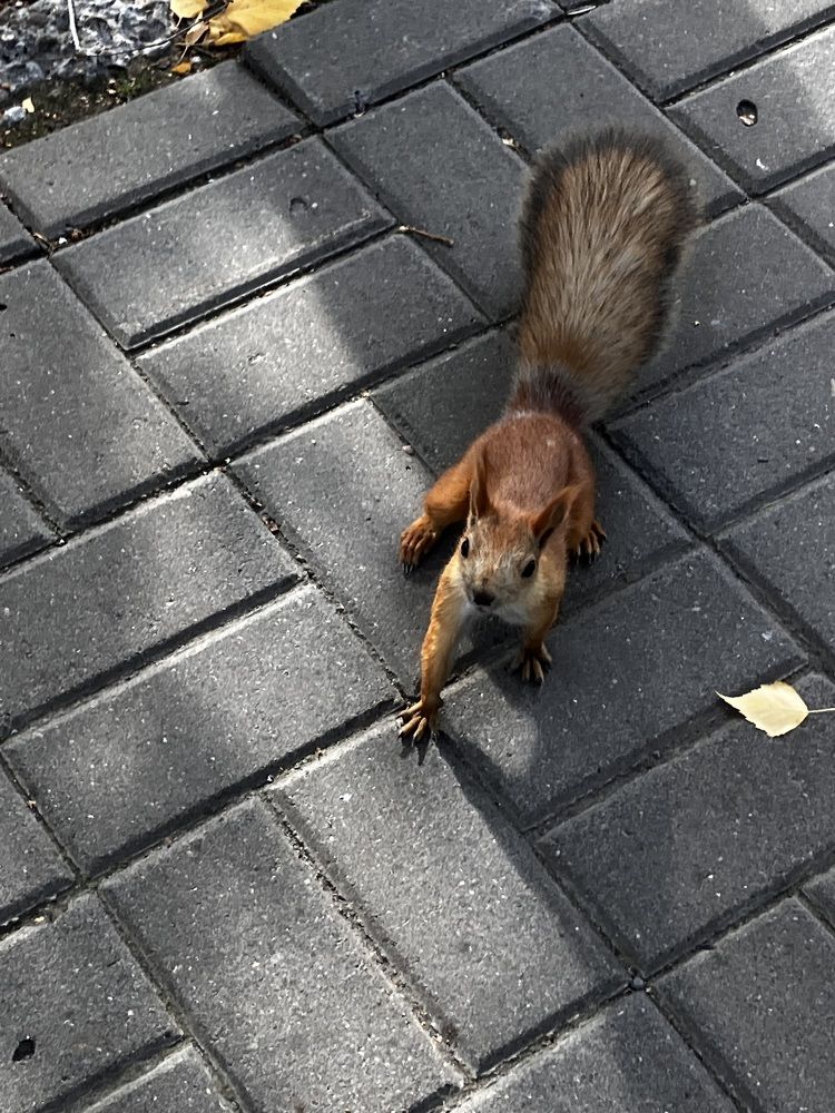 Photograph by Мария Карпычева