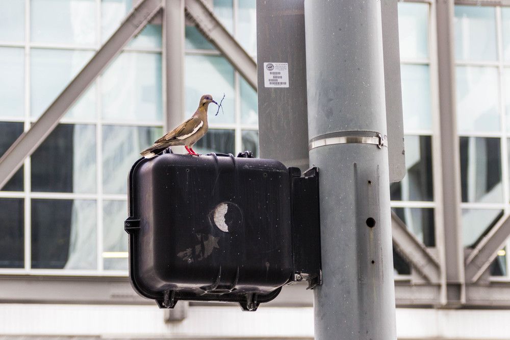 Photograph by Анатолий Костерев