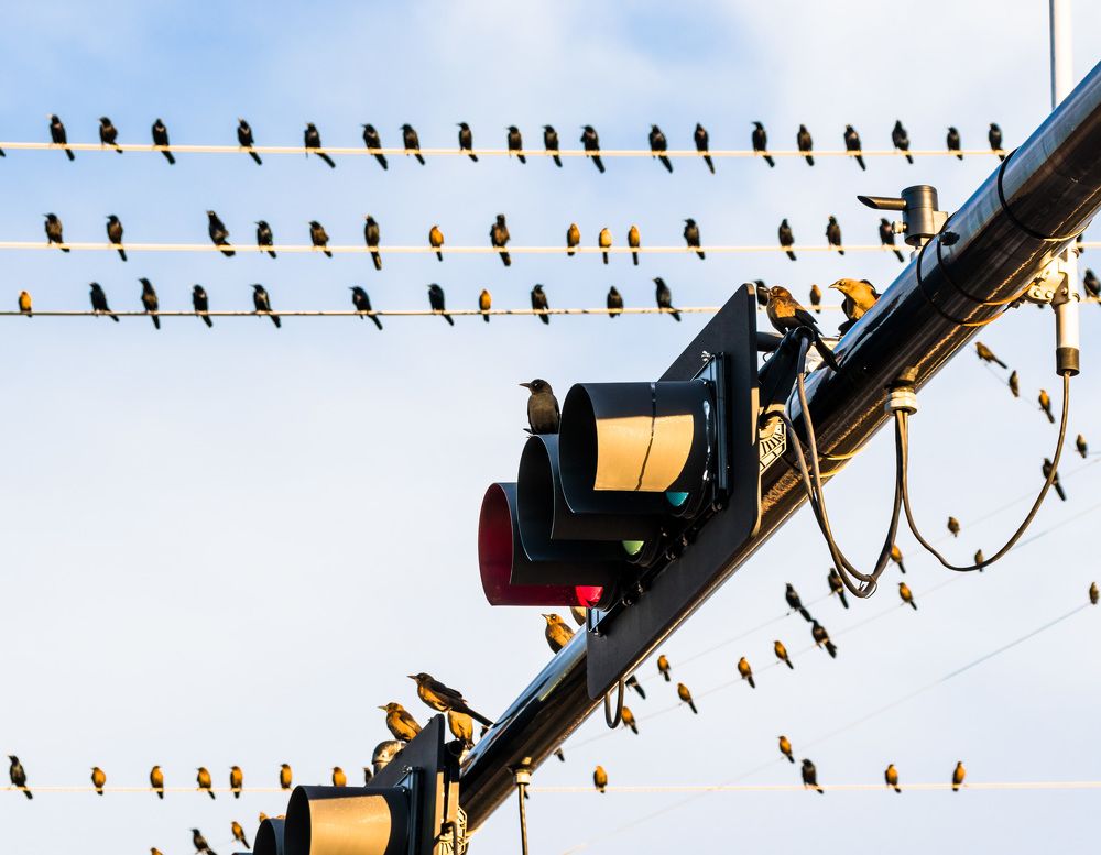 Photograph by Анатолий Костерев