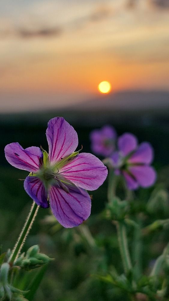 Photograph by Светлана