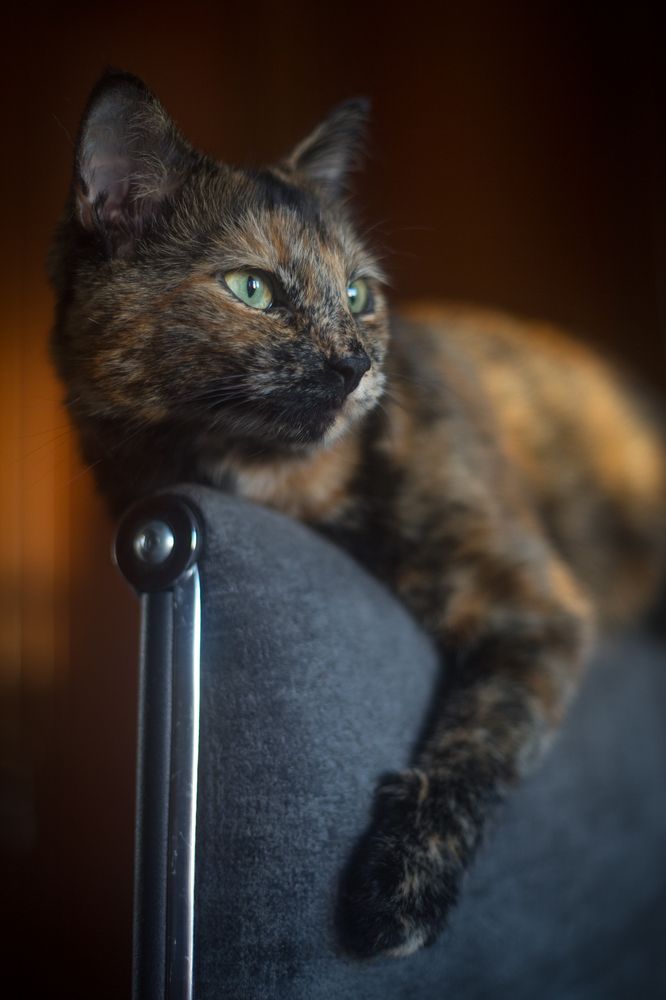 Photograph by Сергей Алексеев