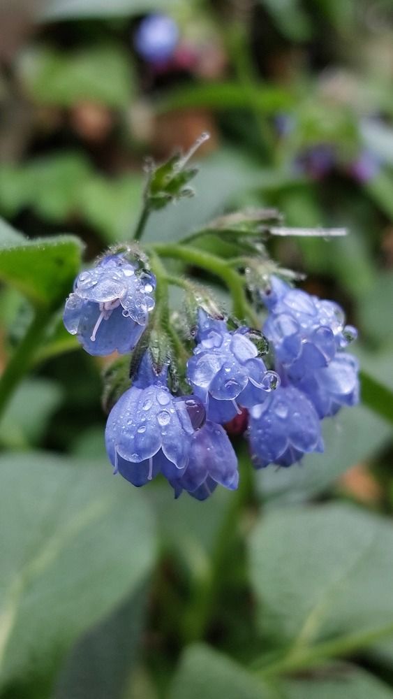 Photograph by Светлана