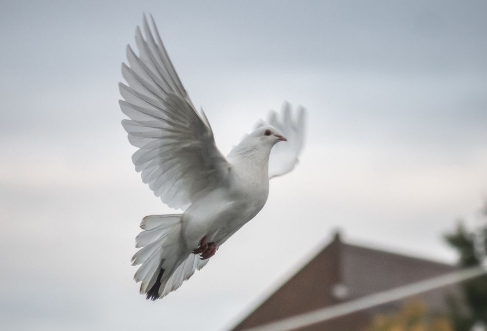 Photograph by Александр