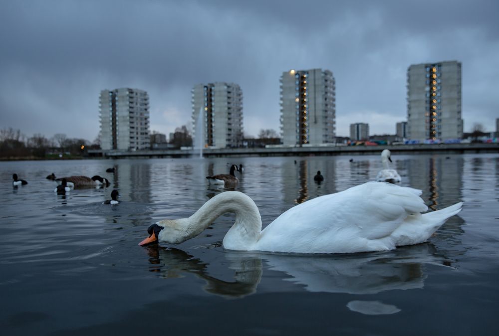 Photograph by Александр