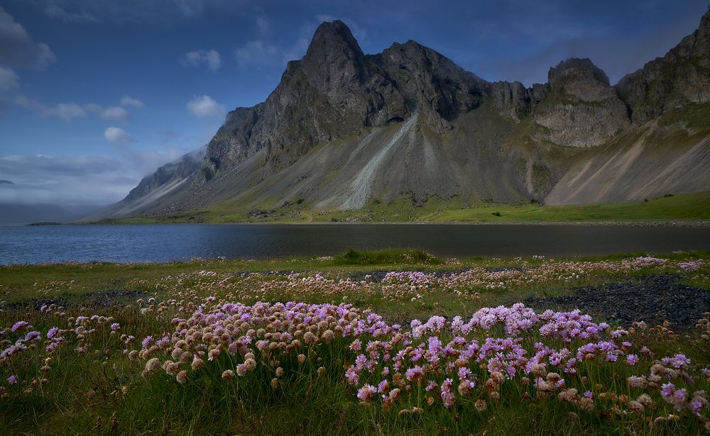 Photograph by Boris Bekelman