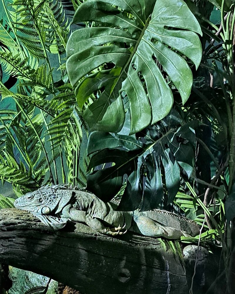 Photograph by Оксана Юдина