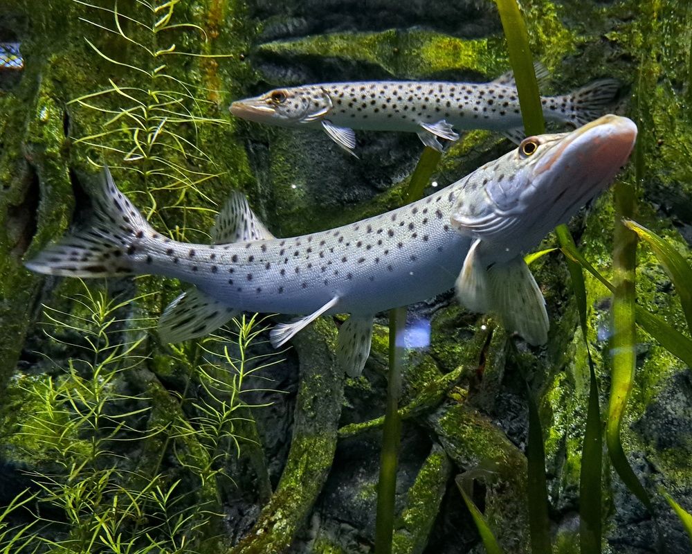 Photograph by Оксана Юдина