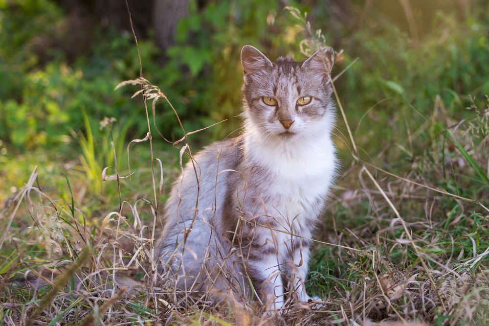 Photograph by Сергей Дишук