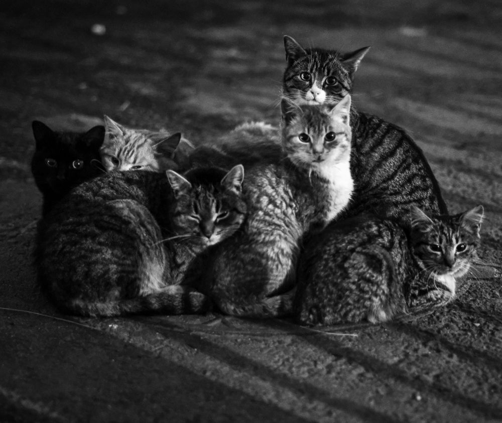 Photograph by Лазарев Евгений