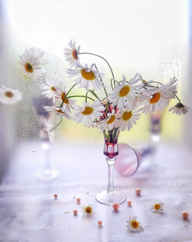 Photograph by Марина Мальцева