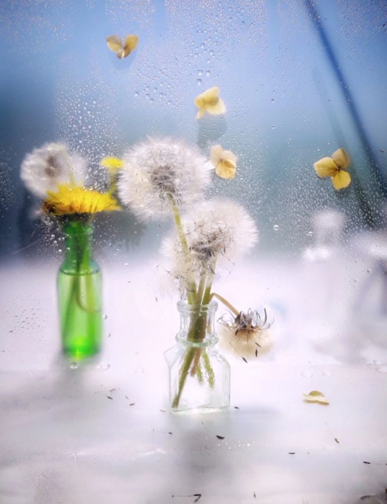 Photograph by Марина Мальцева