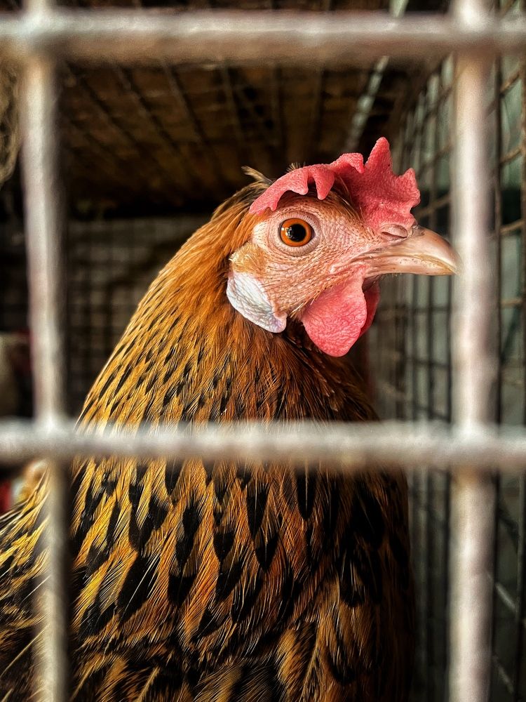 Фотография автора Sachin Gaurav