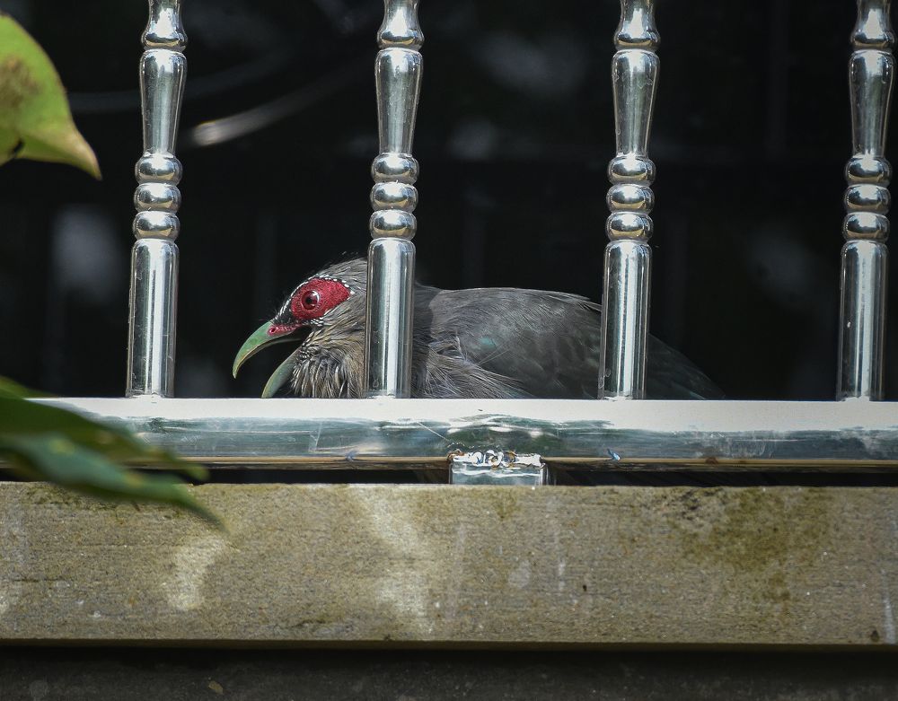 Photograph by Md Rana