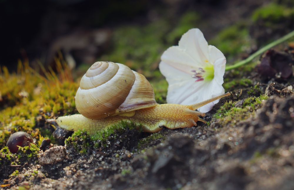 Photograph by Евгения Тимофеева